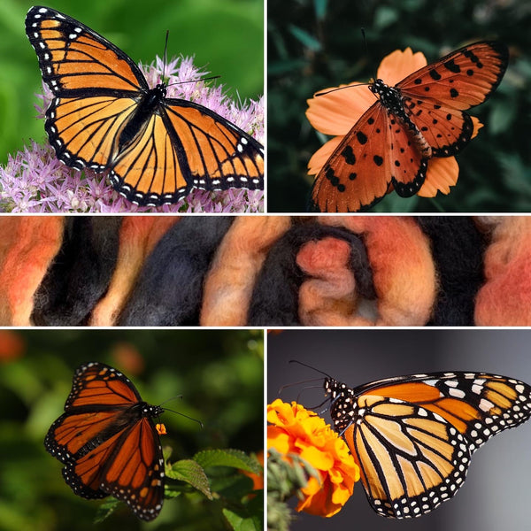 Monarch Butterfly BFL Hand Spun Yarn